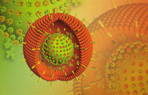 Epstein-Barr Virus